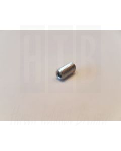 RVS inbusbout voor borgen stift SANTOS 10605